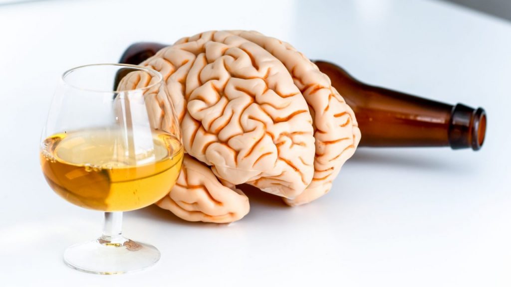 L'alcool «plus dommageable pour la santé du cerveau que la marijuana» Alcohol and Brain 1280x720 1024x576 - L'alcool «plus dommageable pour la santé du cerveau que la marijuana»