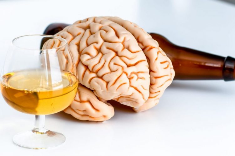 Alcohol and Brain 1280x720